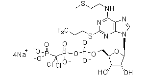 Cangrelor